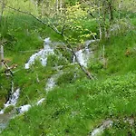 Unteres Hart Gomadingen