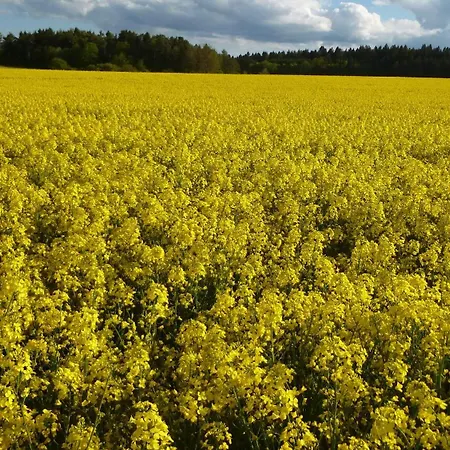 Unteres Hart Дом отдыха