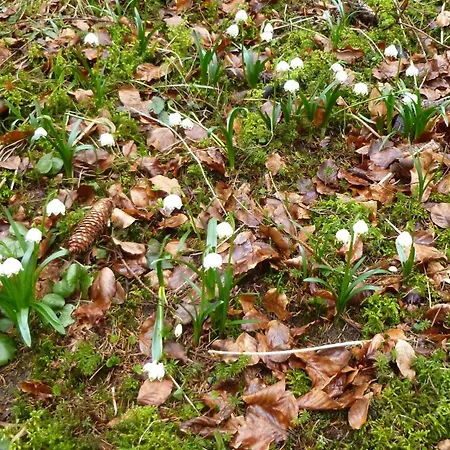 Unteres Hart * Gomadingen